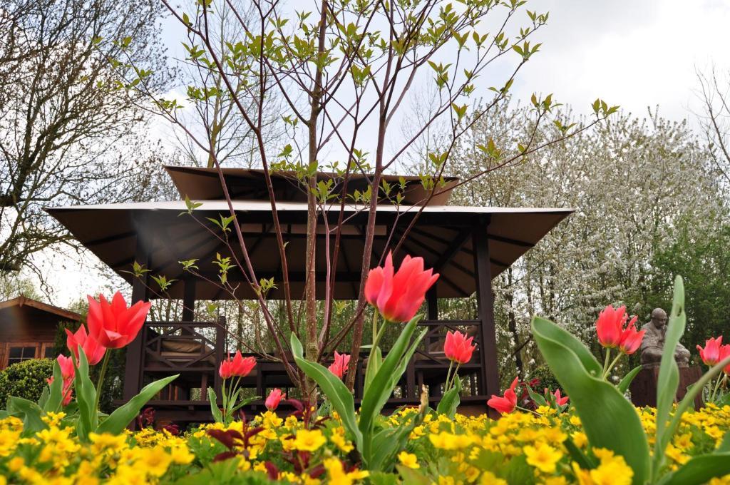 B&B Latemberg Sint-Maria-Latem ภายนอก รูปภาพ
